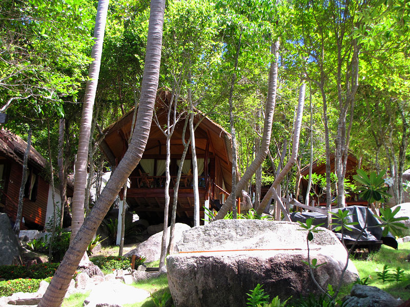 Бунгало на Koh Tao, Mango Bay