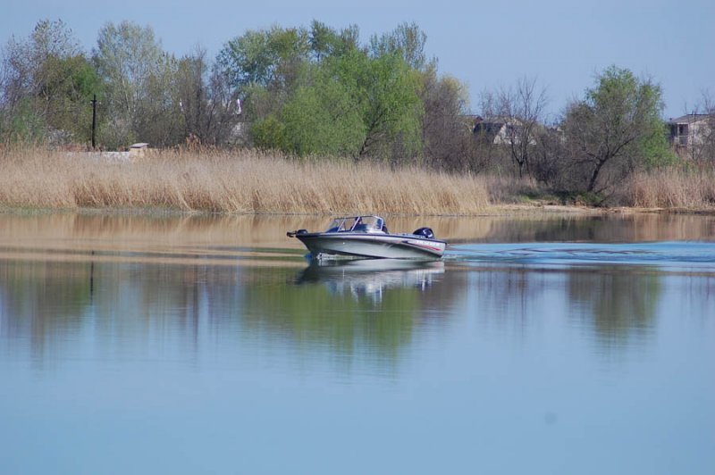 рыбинспекция, неспит.......